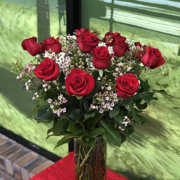 Red roses arranged in a tall glass vase with small white filler flowers