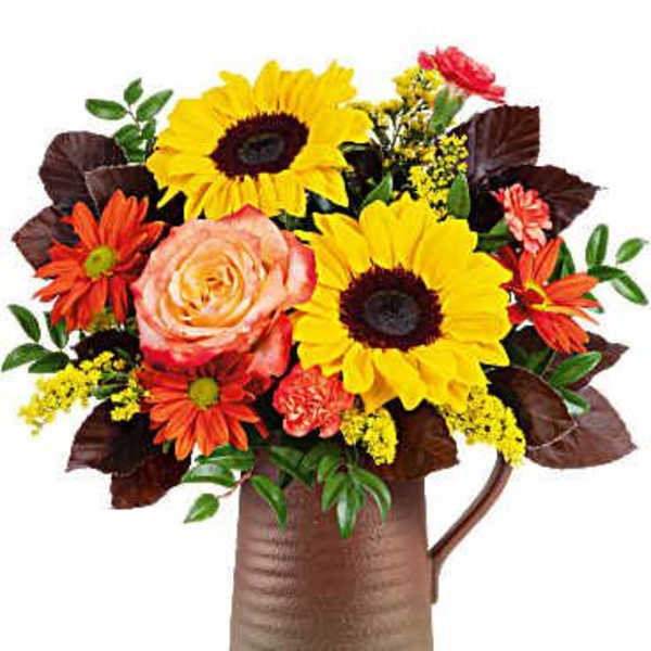 Autum Pitcher