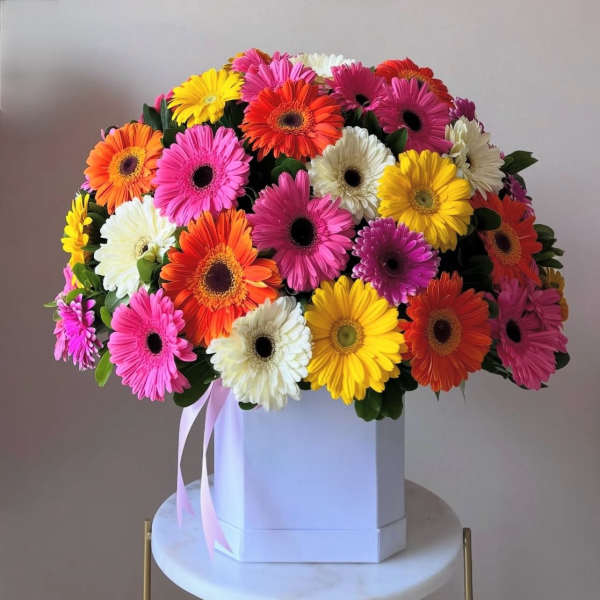 Well Done!