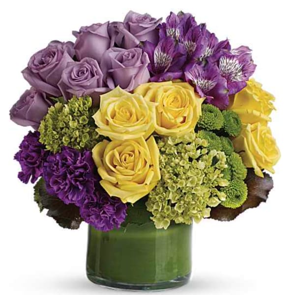 Simply Splendid