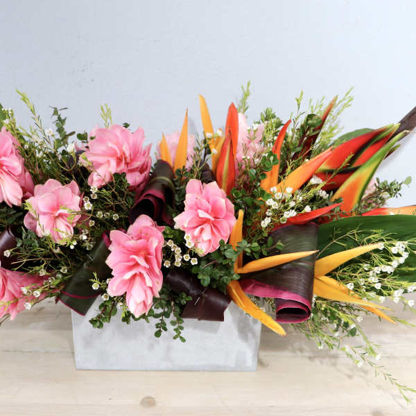 Ginger Tropics - Glendale Flowers