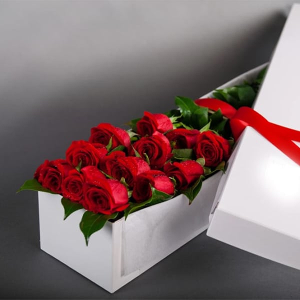 Red roses arranged in a white gift box with a red ribbon