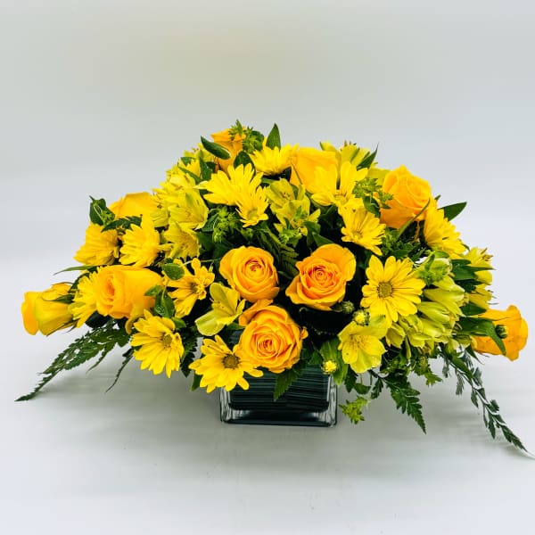 Golden Glow