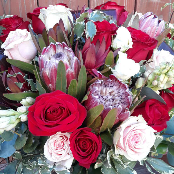 Bouquet of red and white roses with protea in a glass vase