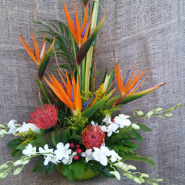 Tall tropical flower arrangement with orange bird of paradise and white orchids