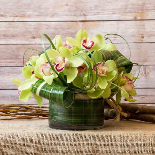 Green orchid arrangement in a glass vase with curled leaf accents