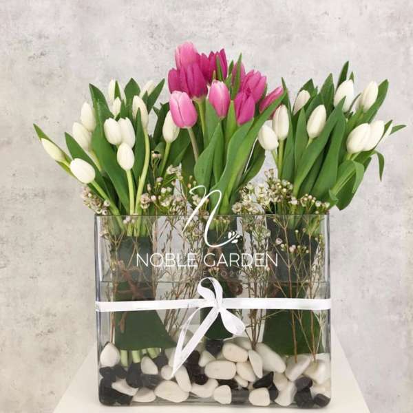 Pink and white tulips arranged in a clear square vase with ribbon
