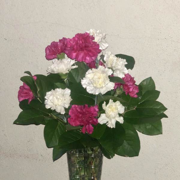 Pink and white carnations in a clear glass vase