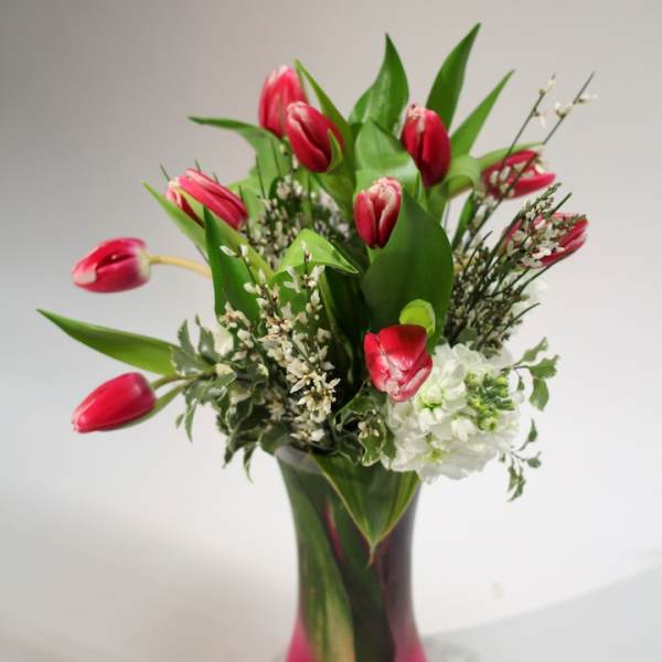 Pink tulips and white flowers in a tall glass vase