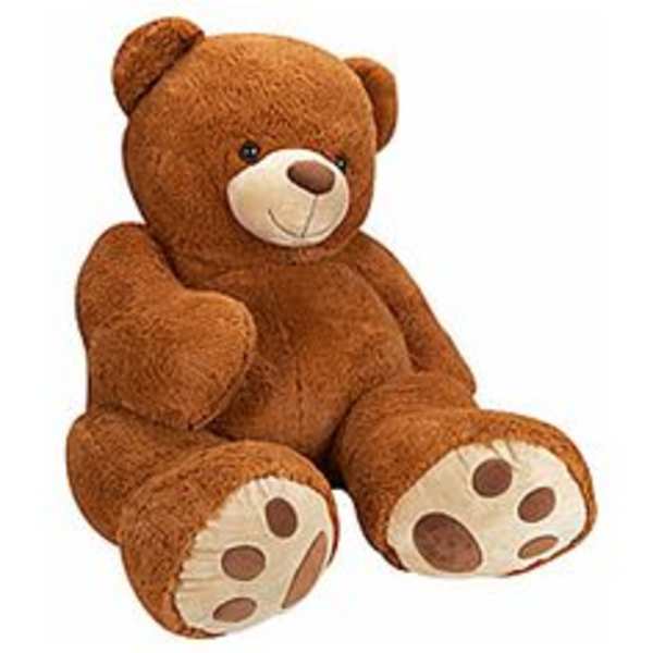 Brown teddy bear sitting on a white background