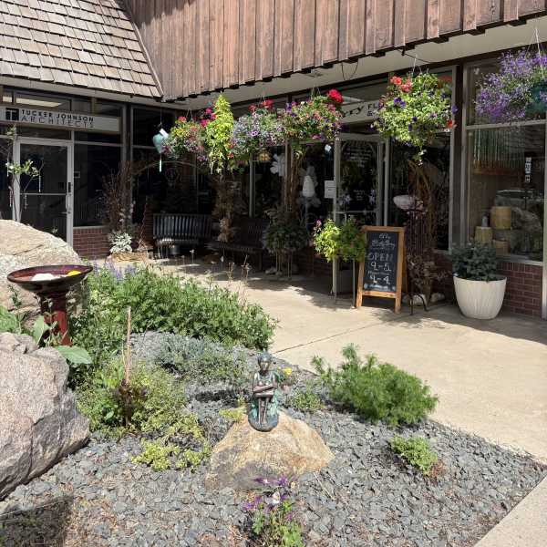 Outdoor hanging Baskets