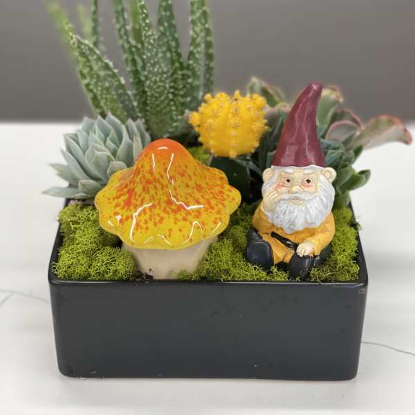 Succulent planter with a small gnome figurine and mushroom ornament