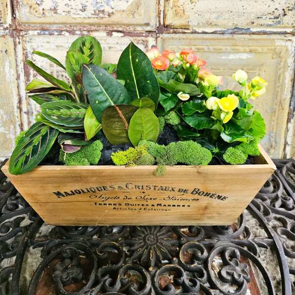 Mixed potted plants and yellow-orange blooms in a wooden box planter