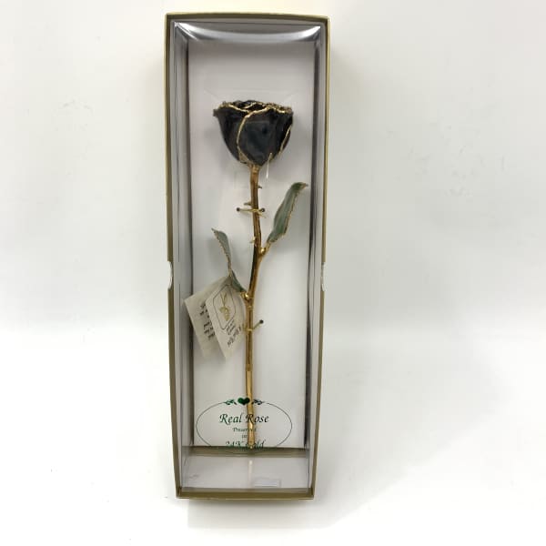 Single preserved rose in a clear gift box