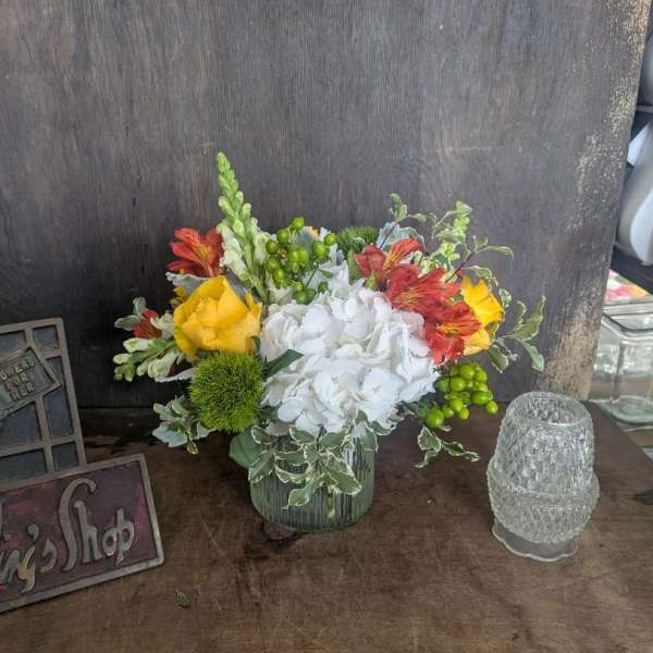 Citrus and More