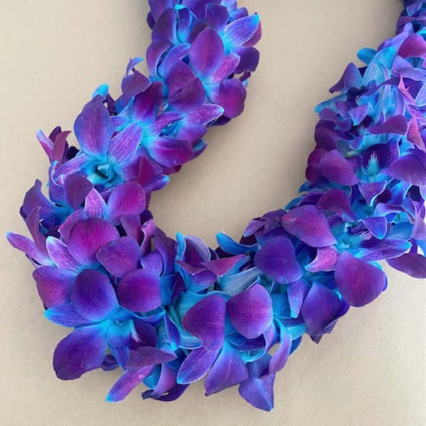 Purple and blue orchid lei on a neutral background