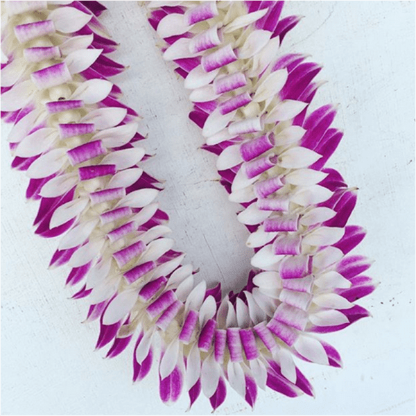 Two purple and white flower leis laid on a light surface.