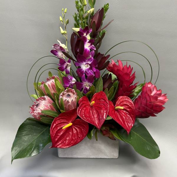 Tropical arrangement with red anthuriums, purple orchids, and pink protea in a white vase
