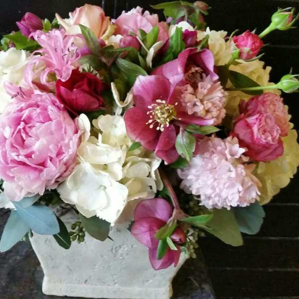 Mixed pink and white flowers arranged in a white vase