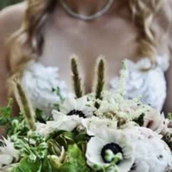 Let's Elope!