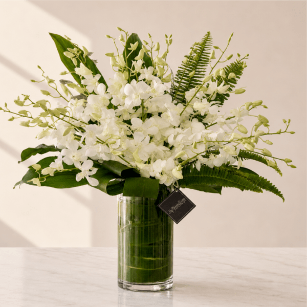 White Orchids