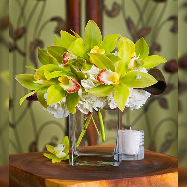 Green orchid arrangement in a clear glass vase with white hydrangeas