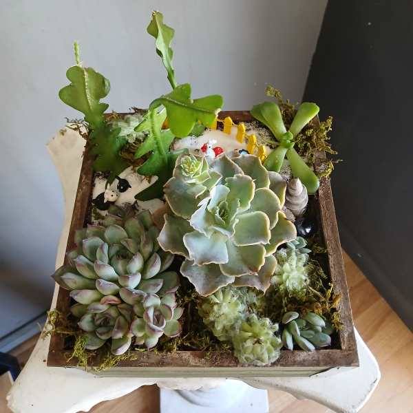 Succulent arrangement in a wooden tray with small decorative figures