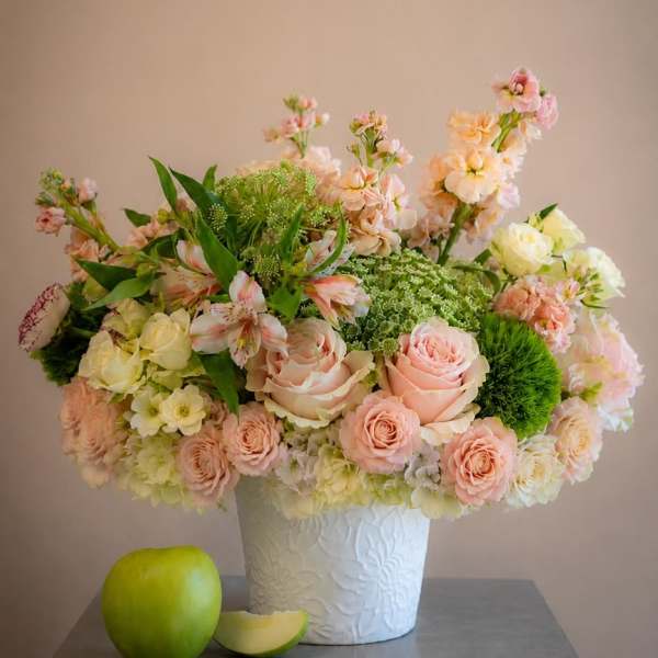 Rosa Prezioso (NEW)