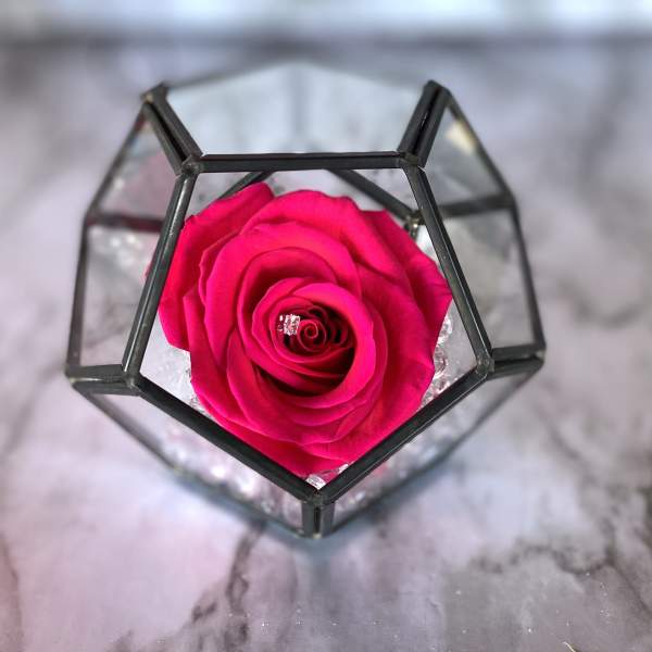 Everlasting Mini ! (Single One Year Rose In Octagon Case) - Hot Pink