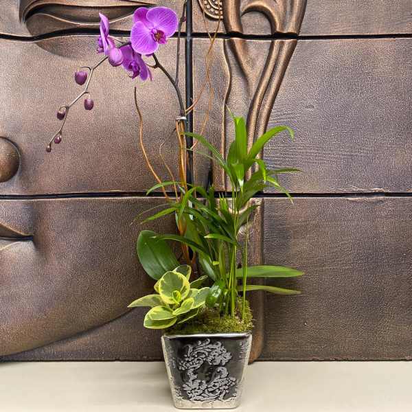 Potted orchid arrangement with purple blooms in a decorative black vase