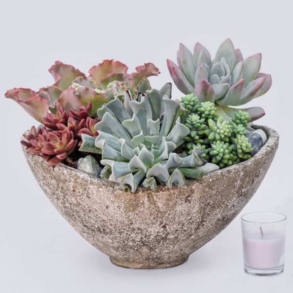 Succulent arrangement in a rustic bowl with a small candle beside it