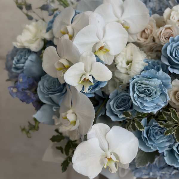 Sky Blue Orchids box