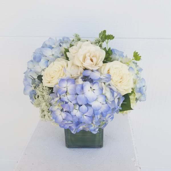 Blue Hydrangea cube