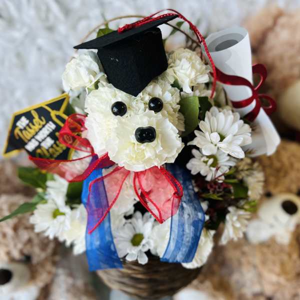 Graduation Fifi