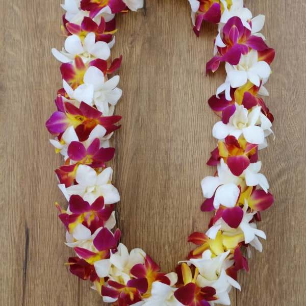 Sunset double orquid lei