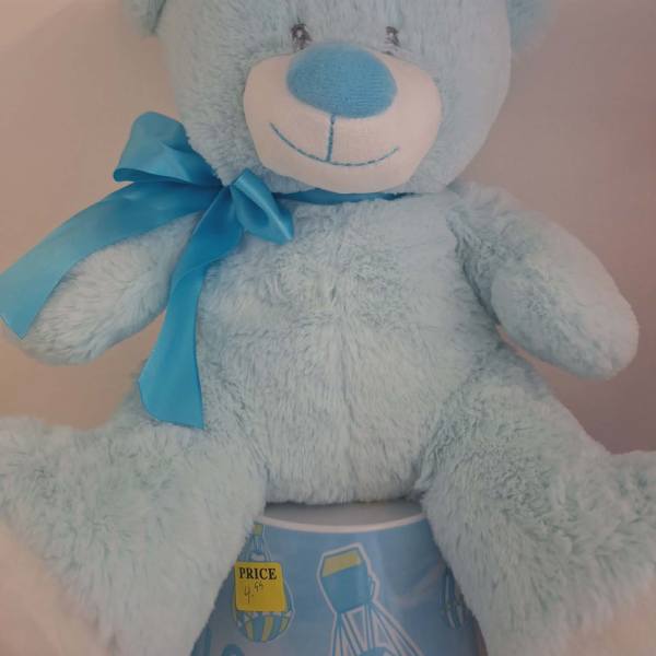 Light blue teddy bear with a blue ribbon bow