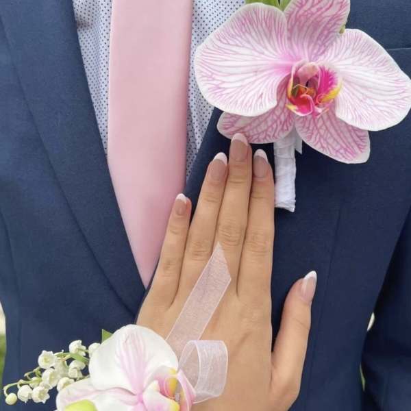 Blush Orchid Harmony