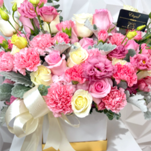 Elegant Pink Blush collection