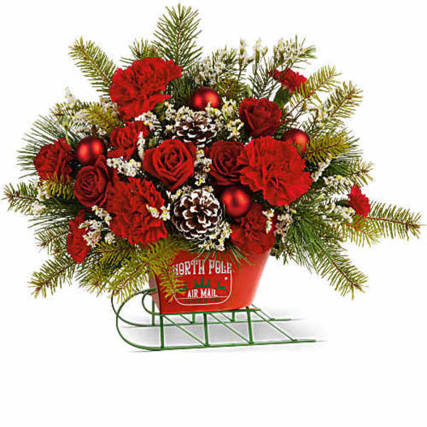 Red roses and carnations in a red sleigh planter with pinecones
