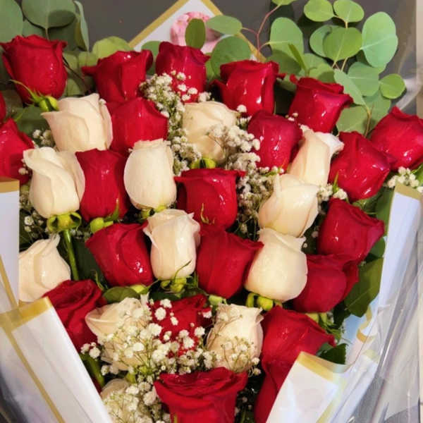 Bouquet of red and white roses with baby's breath in clear wrap
