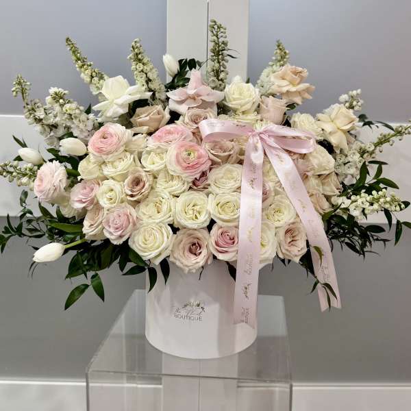 Blush Couture- XL Box