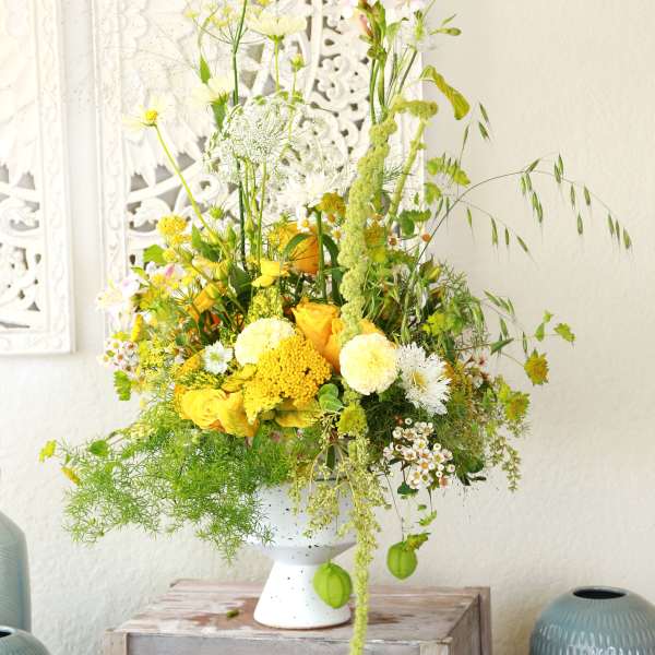 Golden Meadow