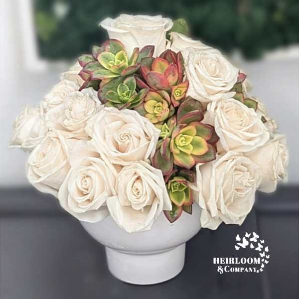 White roses and colorful succulents arranged in a white vase