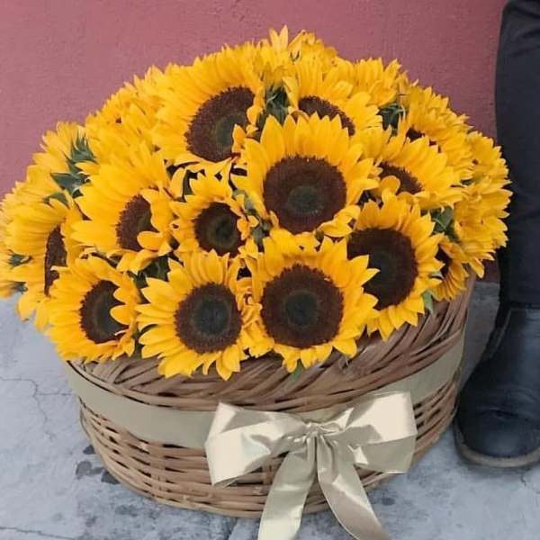 Basket of bright yellow sunflowers with a ribbon bow