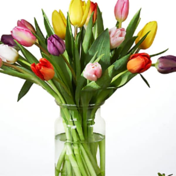 Assorted Tulips