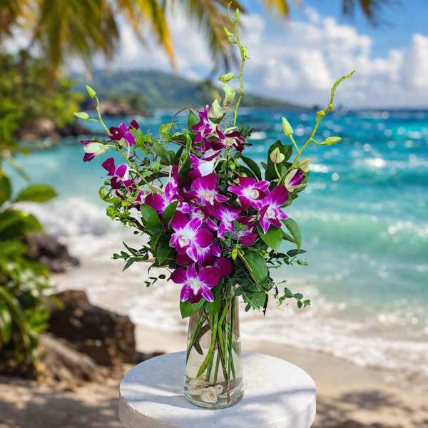 Bombay Dendrobium Orchid Waves