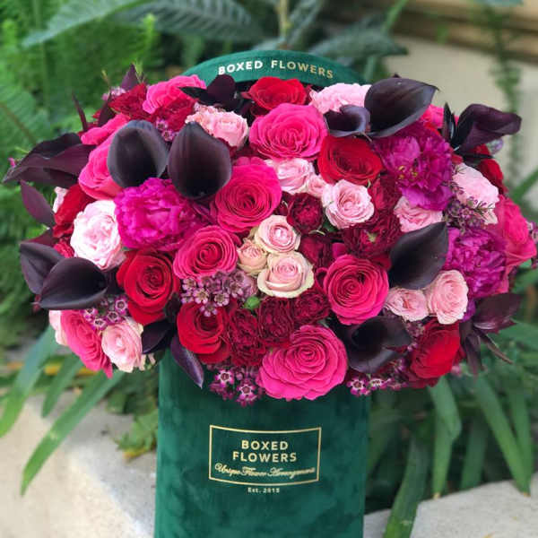 Boxed bouquet of pink and red roses with dark leaves