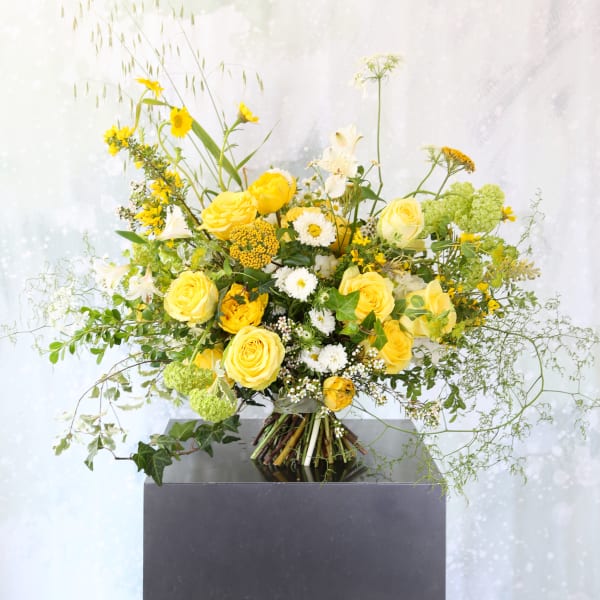 You are sunshine