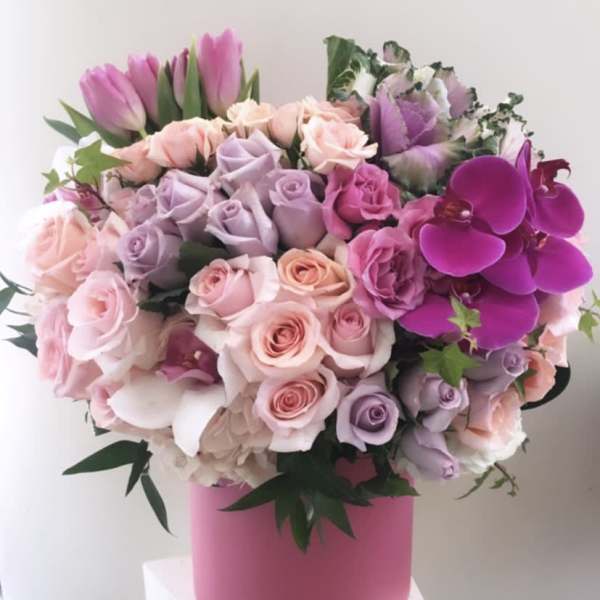 Summer Nights