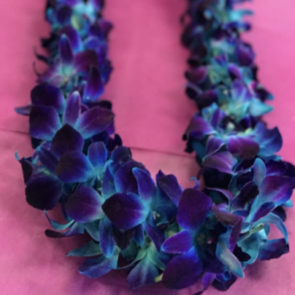 Purple and blue floral lei on a pink background